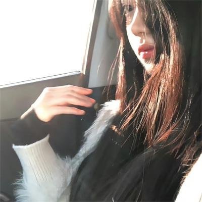 新木偶奇遇记