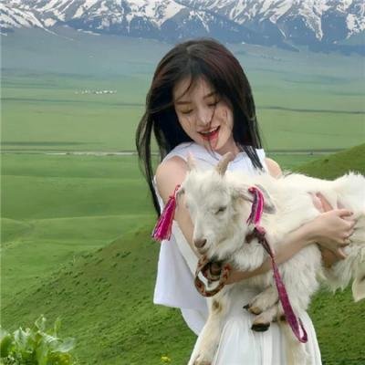 猫咪心动奇迹